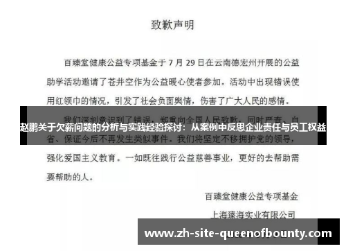 赵鹏关于欠薪问题的分析与实践经验探讨：从案例中反思企业责任与员工权益