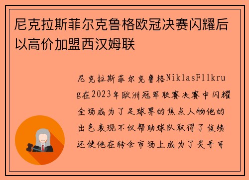 尼克拉斯菲尔克鲁格欧冠决赛闪耀后以高价加盟西汉姆联 尼克拉斯菲尔克鲁格欧冠决赛闪耀后以高价加盟西汉姆联
